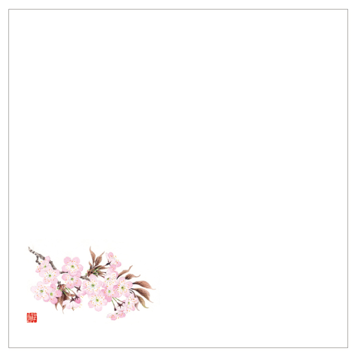 耐油天紙カラー四寸 No.0024 桜