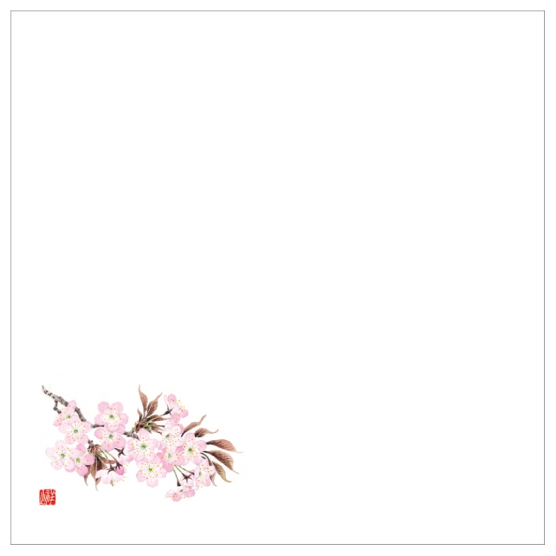 耐油天紙カラー五寸 No.0036 桜
